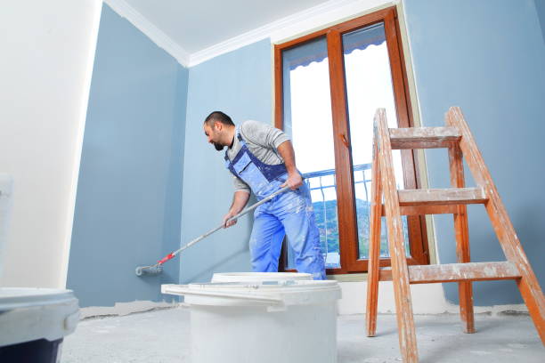 Best Drywall Removal and Disposal  in Sturtevant, WI